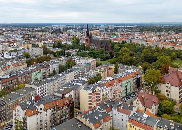 Rozbrat Olbin, Sun & Snow *